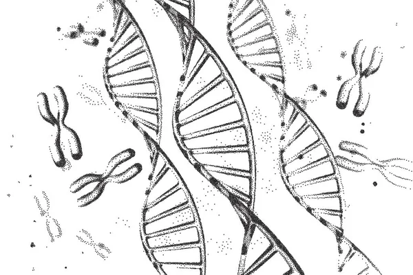 Ilustrasi DNA vektor dna. Struktur DNA EPS 10. Konsep sekuensing genom dari gmo dan penyuntingan genom. Kimia farmasi dan penelitian DNA. Bioteknologi koneksi molekul. Manusia - Stok Vektor