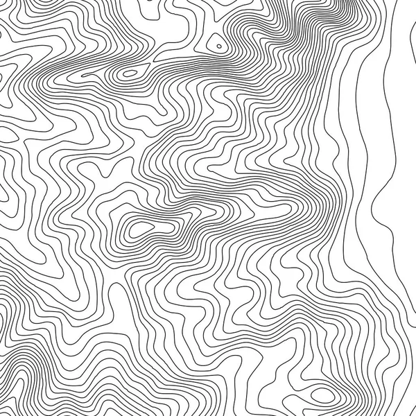 Topografik harita arka plan kopya için alan ile. Topografya Haritası kontur arka plan, coğrafi kılavuz tasarlamak vektör çizim satır. Soyut geometrik çizgiler .