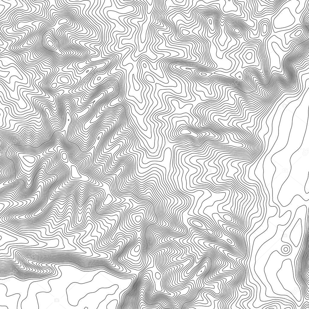 Topographic map background with space for copy . Line topography map contour background , geographic grid abstract vector illustration . Abstract geometric lines .