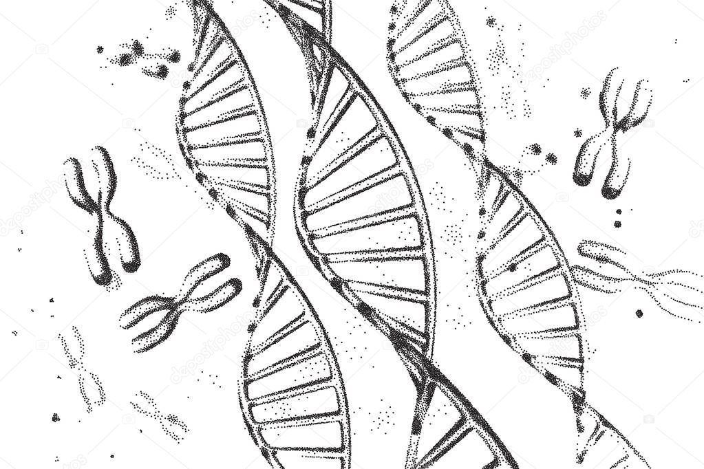 Genome dna vector illustration. DNA structure EPS 10. Genome sequencing concept of gmo and genome editing. Pharmaceutical chemistry and dna research. Biotechnology of molecule connection . Human