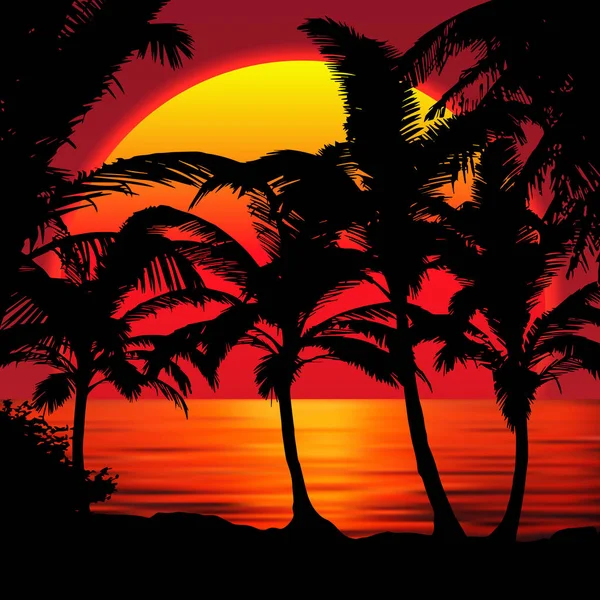 Sonnenuntergang Strand mit Palmen. Sonnenuntergang Landschaft mit bunten Sonnenuntergang Himmel gradient.red Sonne reflektiert im Wasser — Stockvektor