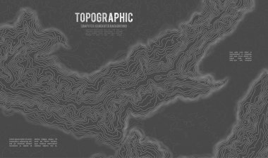 Gri, vektör topografisini belirler. Coğrafi dağ topoğrafyası vektör çizimi. Topografik doku. Arazi vektör alanı haritası. Yükseklik grafiği yükseklik çizgileri. Topografik harita