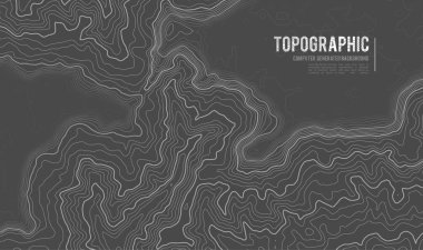 Gri, vektör topografisini belirler. Coğrafi dağ topoğrafyası vektör çizimi. Topografik doku. Arazi vektör alanı haritası. Yükseklik grafiği yükseklik çizgileri. Topografik harita