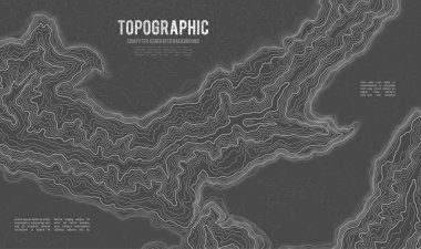 Gri, vektör topografisini belirler. Coğrafi dağ topoğrafyası vektör çizimi. Topografik doku. Arazi vektör alanı haritası. Yükseklik grafiği yükseklik çizgileri. Topografik harita