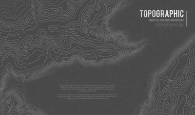 Gri, vektör topografisini belirler. Coğrafi dağ topoğrafyası vektör çizimi. Topografik doku. Arazi vektör alanı haritası. Yükseklik grafiği yükseklik çizgileri. Topografik harita