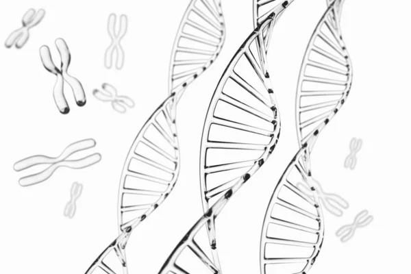 Abstraktní pozadí. Molekula DNA s chromozomy X — Stock fotografie