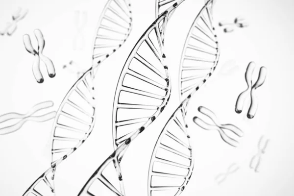 Contexte abstrait. Molécule d'ADN avec chromosomes X — Photo