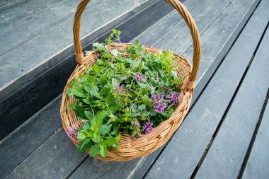 kekik (mercanköşk) hasır sepet