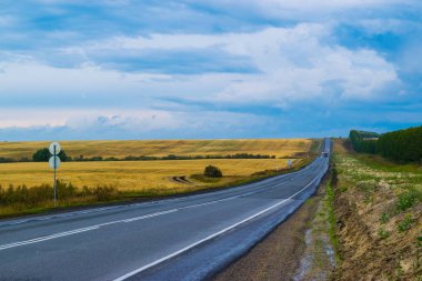 Altın buğday tarlasında boş sonbahar yolu