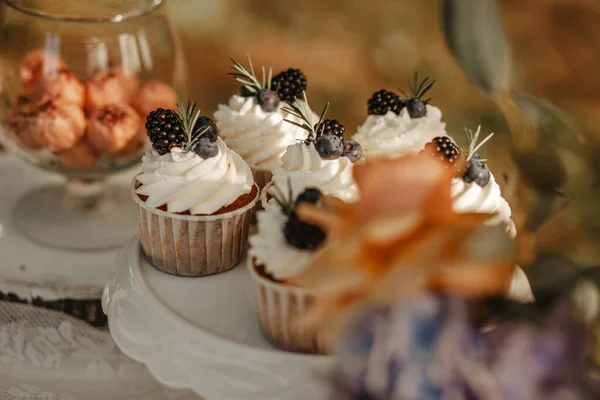 Delizioso Tavolo Dessert Ricevimento Nozze Giardino — Foto Stock