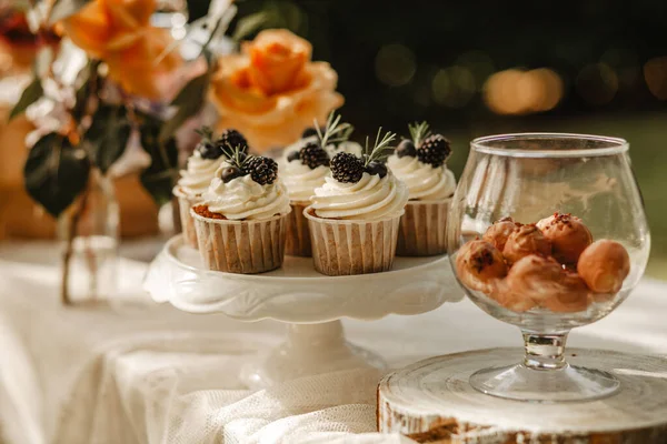 Delicious Γαμήλια Υποδοχή Καραμέλα Μπαρ Επιδόρπιο Τραπέζι Στον Κήπο — Φωτογραφία Αρχείου