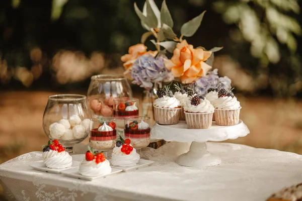 Delicious Γαμήλια Υποδοχή Καραμέλα Μπαρ Επιδόρπιο Τραπέζι Στον Κήπο — Φωτογραφία Αρχείου