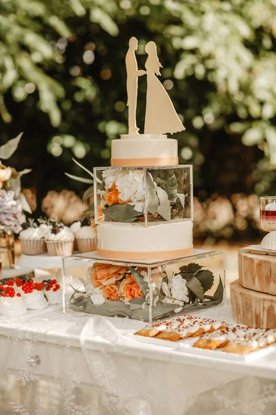 Delicious Wedding Reception Candy Bar Dessert Table Garden — Stock Photo, Image