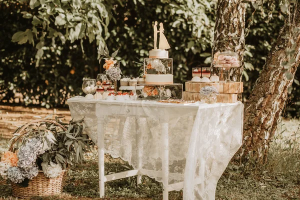 Delicious Wedding Reception Candy Bar Dessert Table Garden — Stock Photo, Image