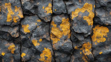 Sarı yosunlu kayalık yüzey, yakın çekim dokusu