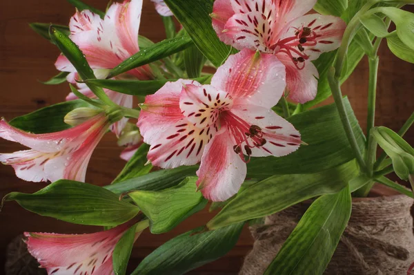 ピンクの花のある静物 春の花の花束 — ストック写真