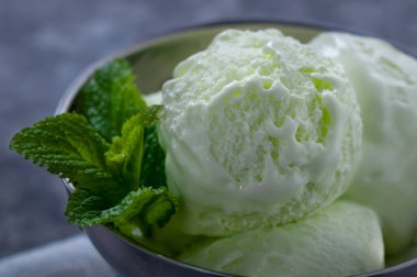 Soğuk yaz tatlısı. Kivili sütlü dondurma. Dondurma meyvesi.