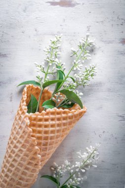 Bahar çiçekleri waffle külahında