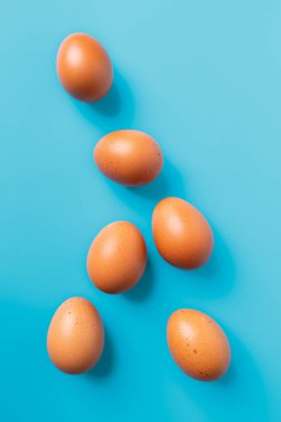 Mavi turkuaz renkli, kopya alanı ile üstten görünüm üzerinde altı kahverengi yumurta