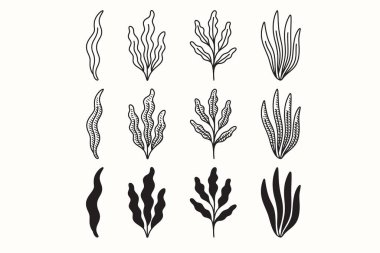 Seaweed frond line icon set. Marine kelp plant silhouette symbol pack. Algae and ocean vegetation engraving element design collection. Ocean, Food, Produce, Nautical, Environment. vector illustration