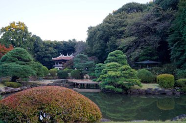 tokyo japonya'da sonbaharda geleneksel Japon bahçesi