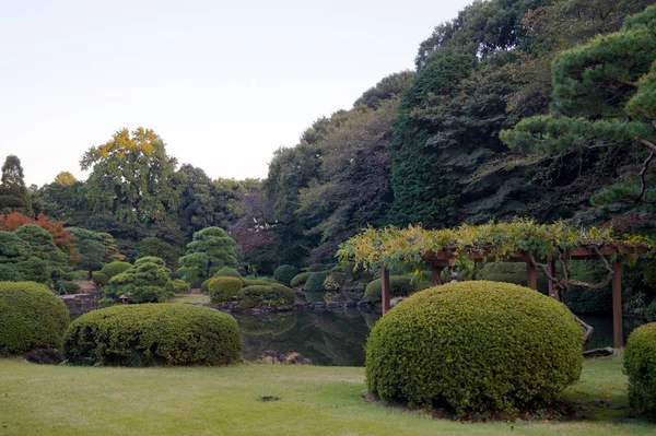 東京の伝統的な日本庭園 — ストック写真