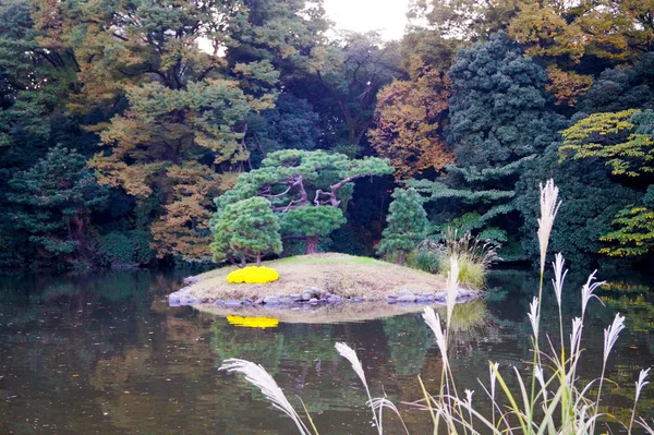 東京の秋の伝統的な日本庭園 — ストック写真