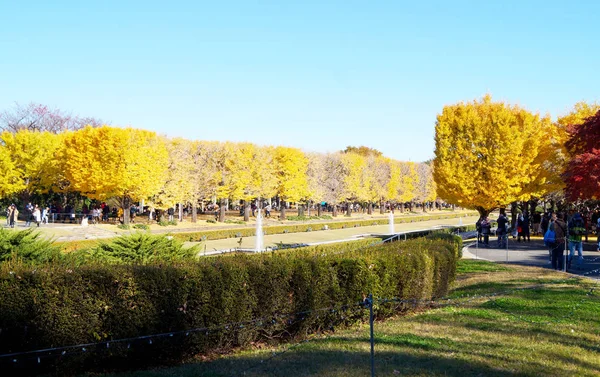 Parque Outono Tóquio Japão Lindas Folhas Outono Nas Árvores — Fotografia de Stock