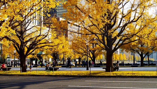 Podzimní Park Tokiu Japonsko Krásné Podzimní Listí Stromech — Stock fotografie