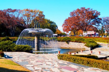 Tokyo, Japonya'da sonbahar parkı. Ağaçlarda güzel sonbahar yaprakları.