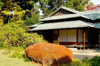 Tokyo, Japonya'da sonbahar parkı. Ağaçlarda güzel sonbahar yaprakları.