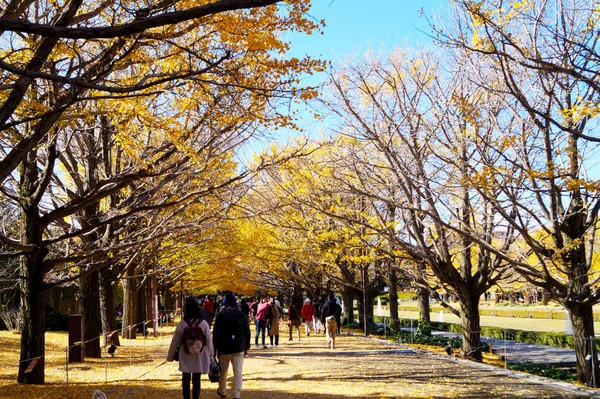 Jesienny Park Tokio Japonia Piękne Jesienne Liście Drzewach — Zdjęcie stockowe