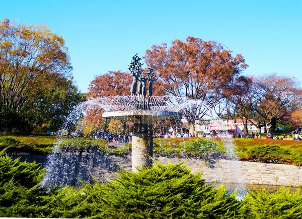 Parque Otoño Tokio Japón Hermosas Hojas Otoño Los Árboles — Foto de Stock