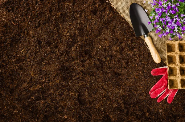 Gardening tools on garden soil texture background top view — Stock Photo, Image