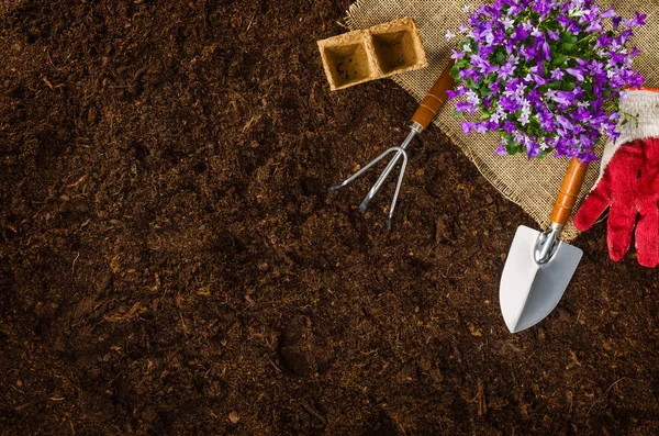Herramientas de jardinería en el jardín textura del suelo fondo vista superior — Foto de Stock