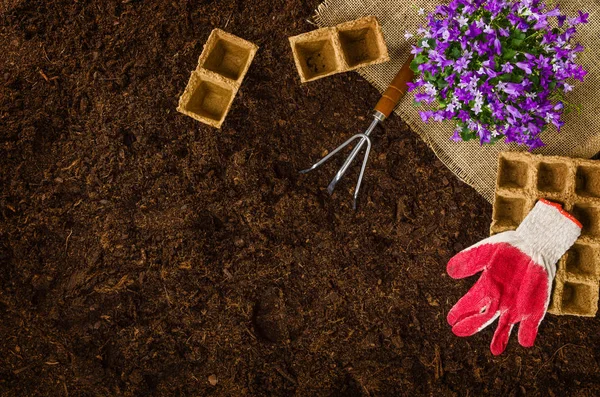 Herramientas de jardinería en el jardín textura del suelo fondo vista superior — Foto de Stock