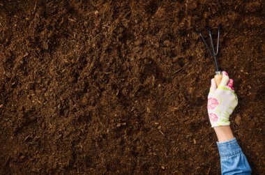 Bahçede, bir bitki dikimi çalışan. Toprak Üstten Görünüm.