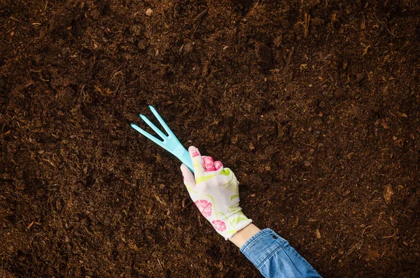 Trabajando en el jardín, plantando una planta. Vista superior del suelo . —  Fotos de Stock