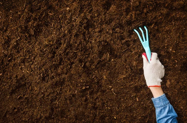 Mão Mulher Plantando Uma Planta Natural Solo Backgroud Câmera Cima — Fotografia de Stock