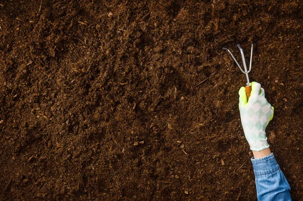 Trabalhando no jardim, plantando uma planta. Vista superior do solo . — Fotografia de Stock