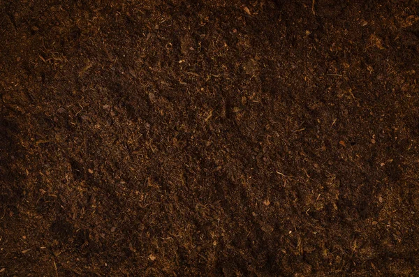 Żyzne gleby w ogrodzie tekstura tło widok z góry — Zdjęcie stockowe
