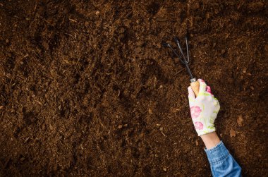 Bahçede, bir bitki dikimi çalışan. Toprak Üstten Görünüm.