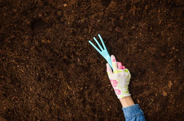 Werken in de tuin, een plant planten. Bovenaanzicht van de bodem. — Stockfoto