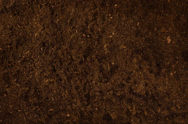 Плодородная текстура почвы сад вид сверху — стоковое фото