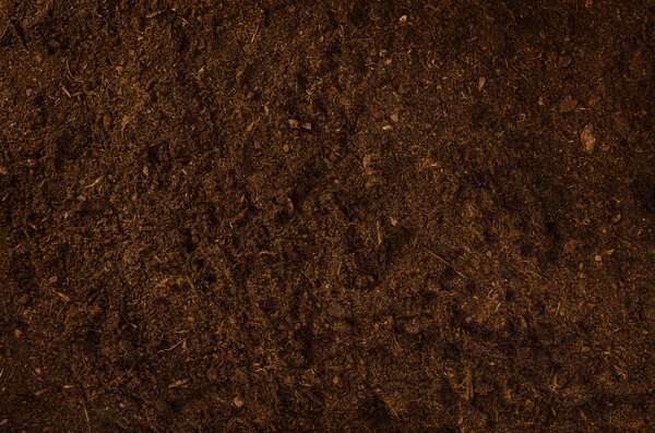 Fertile garden soil texture background top view