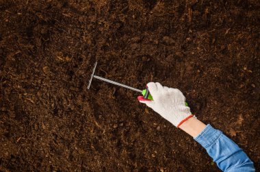 Bahçede, bir bitki dikimi çalışan. Toprak Üstten Görünüm.