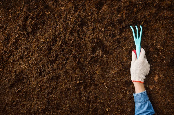 Trabalhando no jardim, plantando uma planta. Vista superior do solo . — Fotografia de Stock