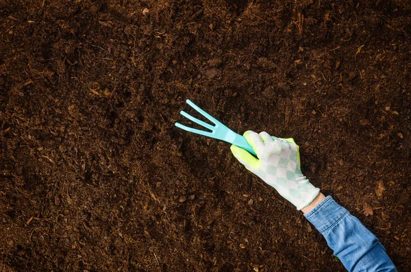 Trabajando en el jardín, plantando una planta. Vista superior del suelo . — Foto de Stock