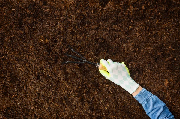 Trabajando en el jardín, plantando una planta. Vista superior del suelo . —  Fotos de Stock