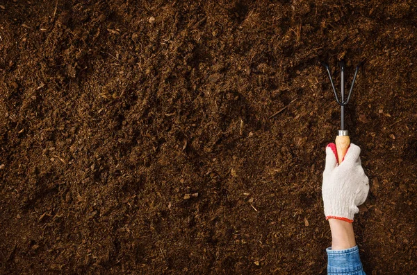 Trabalhando no jardim, plantando uma planta. Vista superior do solo . — Fotografia de Stock